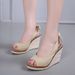 Women’s Shoes Spring And Summer New Roman Style Wedge Heel Women's Sandals Fish Mouth Back Strap Women's Shoes Foreign Trade Large Size Sandals Flat_vogvips.com