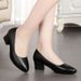 Sprig Ad Autum Black Professioal Sigle Low Leather Shoes Wome's Middle Work Dress Short Heel Flight Attedat_vogvips.com