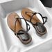 Chunky Heel Toe-post Strap S, Super Popular 2025 New Summer Model, Trendy Versatile Mid-heel Slip-on Beach Roman_vogvips.com