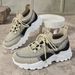 Fashion Single Autumn New Casual Soft Sole Lightweight Dad Women's Breathable Mesh Shoes_vogvips.com