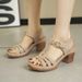 Cross-border Plus-size Women's Sandals, 2026 Summer New Model, Solid Color, European And American Style, Open-toe,_vogvips.com