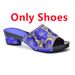 Stylish women's wedding shoes with a diamond pressed floral print party shoe bag set_vogvips.com