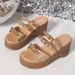 Women's High Heeled Sandals Bow Design Summer Open Toe European American Style Plus Size Platform Sandals_vogvips.com