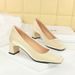 6293 Spring And Autumn New French Elegant Fashion Single Shoe Square Head Silk Coarse Shallow Plain Face Middle Heel_vogvips.com