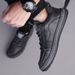 Shoes Spring Top Layer Cowhide Breathable Soft Sole Trendy Versatile Men's Genuine Leather Comfortable Non-Slip Fashion_vogvips.com