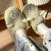 for Women And Men, Cute Cartoon Couple Style, Girly Little Sheep Design, Winter Indoor Home Soft Sole Plush Cotton_vogvips.com