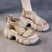 New Chinese Muffin Bottom Wind Thick Sole Heightening Versatile Roman Sandals Women's Cross Belt_vogvips.com