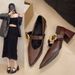 Rough Heeled Mary Jane Niche Shoes For Women In Autumn And Winter 2025 Versatile Shallow Mouth Single Buckle With Black_vogvips.com
