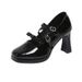 Everyday Mary Jane Women's Shoes 2025 Spring And Autumn New French Fairy Style Design Square Toe Chunky Heel High Heels_vogvips.com