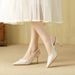 Hui Liya's New Summer Elegant High-heeled Shoes, French Style Stiletto Pointed Toe, Stunning Closed-toe Sandals In Nude_vogvips.com