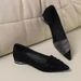 Pointed-toe Shallow Single 2025 New Style Elegant Women's Black Chunky Heel Slip-on High Heels Mom Work Shoes_vogvips.com