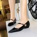 3683-5K92 Elegant And Fashionable Women's Shoes With Shallow Mouth, Pointed Toe, Sloping Heel, Straight Strap, Single_vogvips.com
