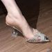 Transparent Women S Sandals Summer New Rhinestone Wine Glass Heels Social Celebrity_vogvips.com