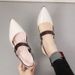 2024 Spring/Summer New Shoes: Pointed Toe Chunky Heel Closed-Toe Shoes, Mid-Heel Buckle High Heels, Hollow-Out Women's_vogvips.com