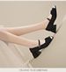 Fairy Style Single Shoes Female Super Fire Versatile Temperament Thick Heel With Skirt One Word With Single Shoes_vogvips.com