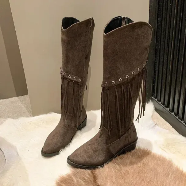 Fashion Bohemian Knee Length Tassel Synthetic Suede Boots Womens Short And Chubby High Heels Long Botas MUJI 240930_vogvips.com