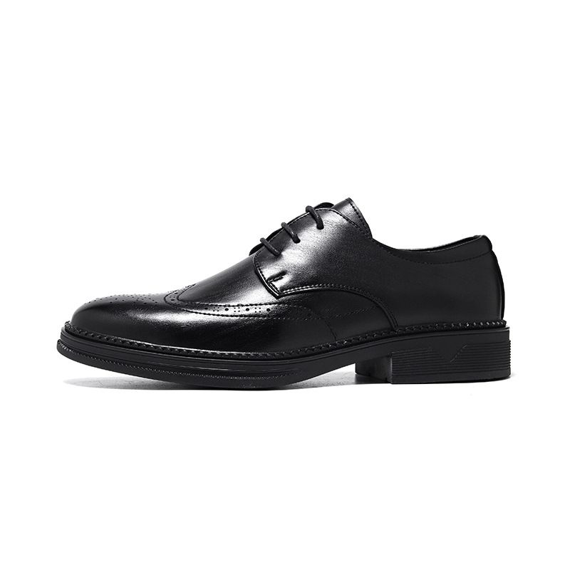 Euro Step 2025 Spring New Men's Brogue Lace-up Pointed Casual Wedding Business Formal Leather Shoes 1233-W_vogvips.com