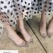High-heeled Sandals For Women 2026 Summer Ladies Shoes With Rhinestones, PVC Transparent Shoes, Pointed Toe, Breathable,_vogvips.com