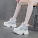 Platform Dad 2025 Spring New Internet Celebrity Style Hidden Heel 9cm Casual Versatile Fashion Lace-up Women's Shoes_vogvips.com
