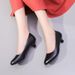 wangjia Wangjia Spring Summer Fashion Work Black Professional Single Leather Low Heel Workwear Formal Interview Flight_vogvips.com