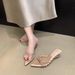Fairy Wind Diamond Thin Strap Flip Flops Women's Summer Outwear New Pointed Toe Wedge Heel Elegant Sandals_vogvips.com