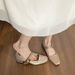Silk Square Head Single Shoes Women's Shallow Mouth Medium Thick Heel French Mary Jane Temperament Commuter Women's Shoes_vogvips.com