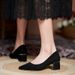 2025 New High Summer Thick Heels With And Widening, Not Tiring Autumn Fat Feet Wide Women's Pointed Single Shoes Women_vogvips.com