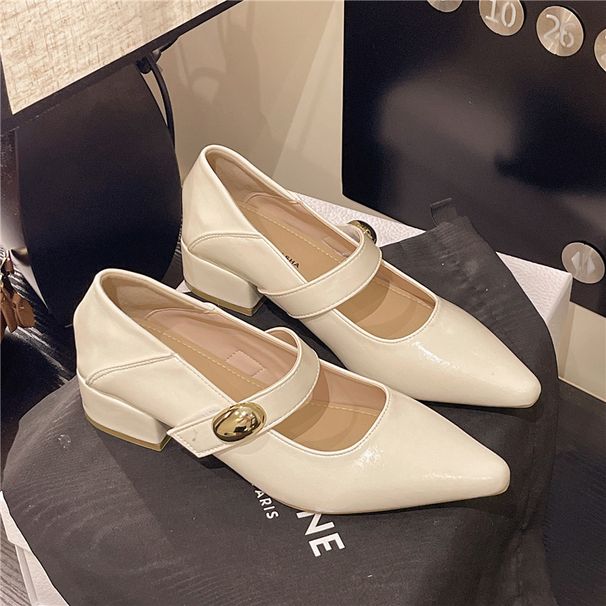 French Silver Evening Wind Pointed High Heels Women's Autumn With Skirt Thick Heel Mary Jane Single Shoes_vogvips.com