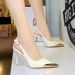 373-22 Style Fashionable Super High Metal Pointed Hollow Slim Heels For Women, Hollowed Out Back Strap Single Shoes_vogvips.com