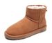 Designer Snow Boots Women Tasman Platform Boot Tazz Slide Bow Ribbon Ultra Mini Slipper Chestnut Men Shoes Womens Winter Ankle Booties Australia_vogvips.com