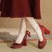Women's Shoes Fairy Style Small High Heels For Women Thick Heels Red Square Toe Shallow Mouth Comfortable Single Shoes_vogvips.com