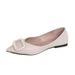 Lady Comfortable Soft Leather Microfiber Slip-On-Buckle Low Heels Pumps Pointy Toe Shoes 34-43 2025 Newest_vogvips.com