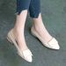 Flat Single For Women 2021 New Spring And Autumn Shallow Mouth Chunky Heel Pointed Toe Soft Sole Versatile Leather Work_vogvips.com
