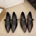 New Soft Leather French-style Soft-soled Elegant Low-heel 2025 Mary Jane Women's Shoes With Pointed Toe And Chunky Heel,_vogvips.com