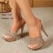 2026 New 13CM High Hee Champagne Slippers Summer Women's Wedding Banquet Sexy Stiletto Thick Platform Lady Shoes_vogvips.com