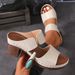 Foreign Trade European And American Style Chunky Plus Size Women's Sandals 2024 Summer New Casual High Heel Comfortable_vogvips.com