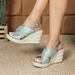 Women's Rope Woven Wedge Platform High Heeled Sandals Open Toe Buckle Design_vogvips.com