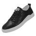 Men's Round Head Shallow Mouth First Layer Casual Men's Board Shoes Elastic Band Breathable Low Heel Men's Shoes_vogvips.com