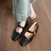 French Light Mouth Mary Jane Single Shoes Women's Thick Heel Medium Heel Ladyshoes Not Tired Feet Work Women's Shoes_vogvips.com