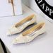 Women's Elegant Pointed Toe Bow Ballet Flats - Slip-On Low Heel Shoes For Spring, Summer & Fall - Available In Silver, Black & Beige - Sizes 35-40_vogvips.com