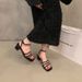 Su Yinyin S Same Style French Autumn One Strap Temperament Silver Thick High Heeled Fairy Sandals For Women_vogvips.com
