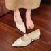 2025 Spring And Autumn New Red Mary Jane Shoes For Women, Chunky Heel, French Style, Versatile, High-End, Pointed Toe,_vogvips.com