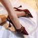 Foreign Trade European And American Fashion Plus-size Ladies' Elegant Backless Closed-toe Sandals, New Pointed-toe Metal_vogvips.com