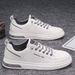 Men's Spring New Breathable Small White Versatile Cloth For Male Students, Sports And Leisure Board Shoes, Trendy Shoes_vogvips.com