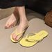 Plus Size 2025 Summer New Beach Flat Sandals Women's Toe Post Flip-Flops_vogvips.com