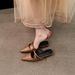 French-style Chunky Heel Elegant Closed-toe Mules Women, Suitable For Outdoor Wear, 2025 New Spring-summer Pointed-toe_vogvips.com