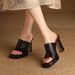 High-heeled Shoes 2026 Spring New Women's Square-toed Chunky Heel High-heeled Fashion Shoes, Open-toed Slip-on Mules_vogvips.com