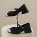 Fairy Style Single Shoes Female Super Fire Versatile Temperament Thick Heel With Skirt One Word With Single Shoes_vogvips.com