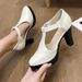 plus Size Retro Style Women's High Heels Pointed Toe Chunky Heel Hollowed Out Professional Single Shoes_vogvips.com