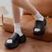 Thick-Soled Summer For Women, New 2025 High-Heeled Non-Slip EVA Cushioning Beach Sandals With Height Increase_vogvips.com